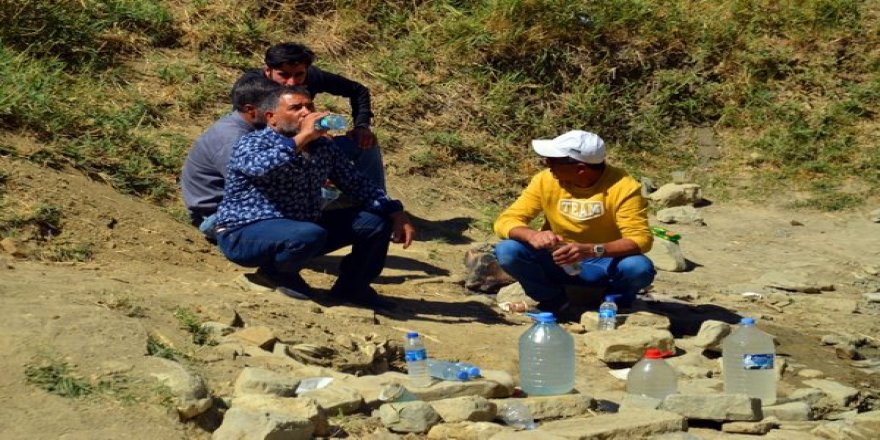 'Şifalı, böbrek taşını düşürüyor' denilen su mikrop saçıyor!