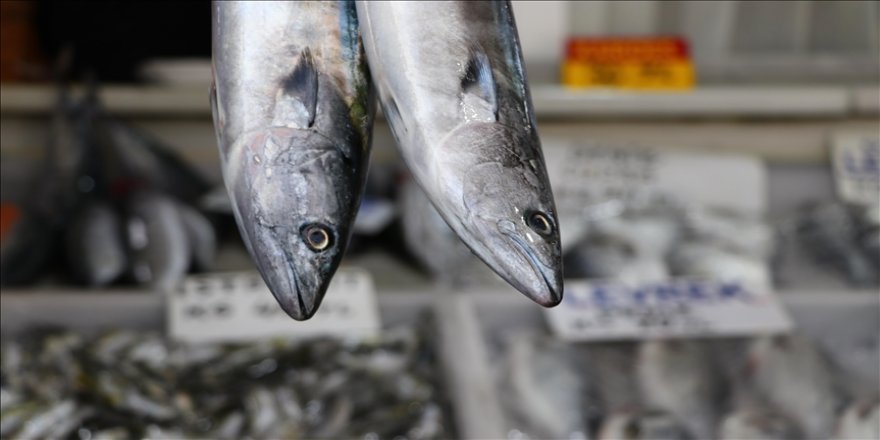 Bilinçsiz avlanan balık erken tükendi