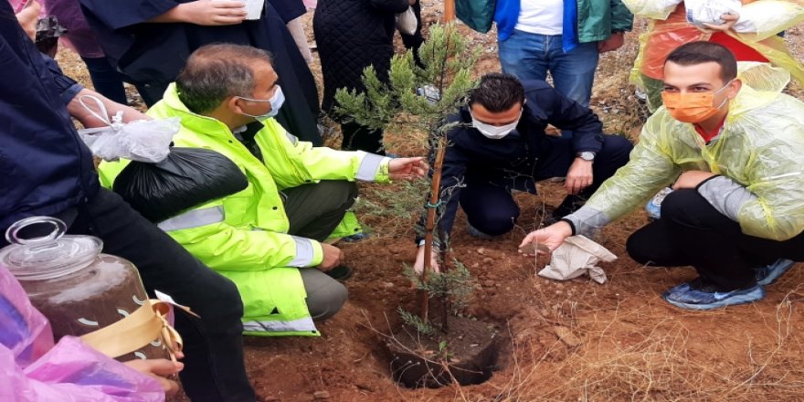 81 ilden öğrencilerin getirdiği topraklar fidanlarla buluştu