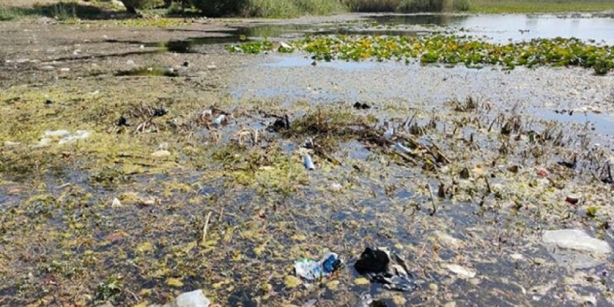 Karadeniz'de 500 metrekarede 2 bin 500 atık çıktı