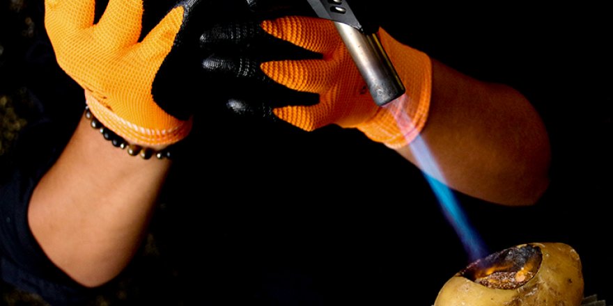 Patates içinde altın çıkarıyor!