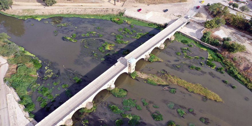 Kuraklık nedeniyle su seviyesi dibe vuran Tunca Nehri'nde ot öbekleri oluştu