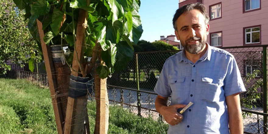 İmam 20 yıldır sokakta gördüğü meyve ağaçlarını aşılıyor