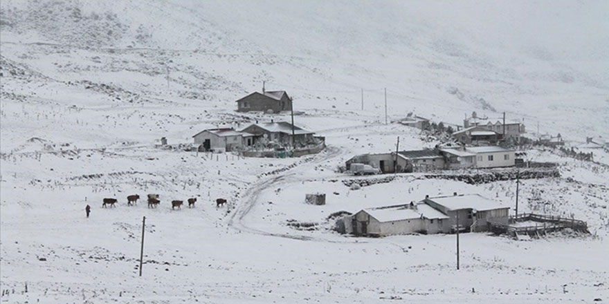 Yüksek köy ve yaylalar beyaz rahmete büründü