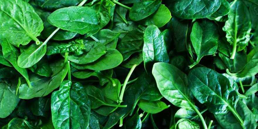 Kainat eczanesinden ıspanak ile yaraların iyileşmesi hızlanıyor