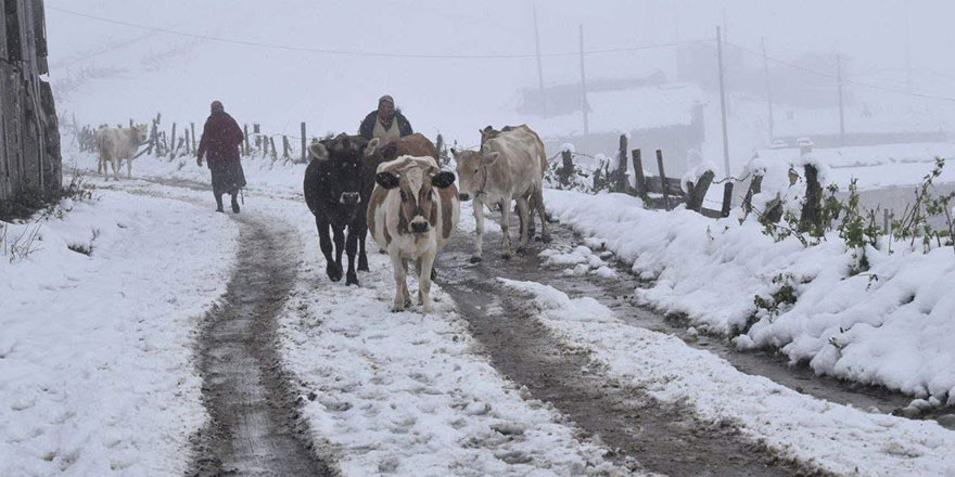 Trabzon'un yüksek kesimlerinde kar kalınlığı 30 santimetreyi buldu