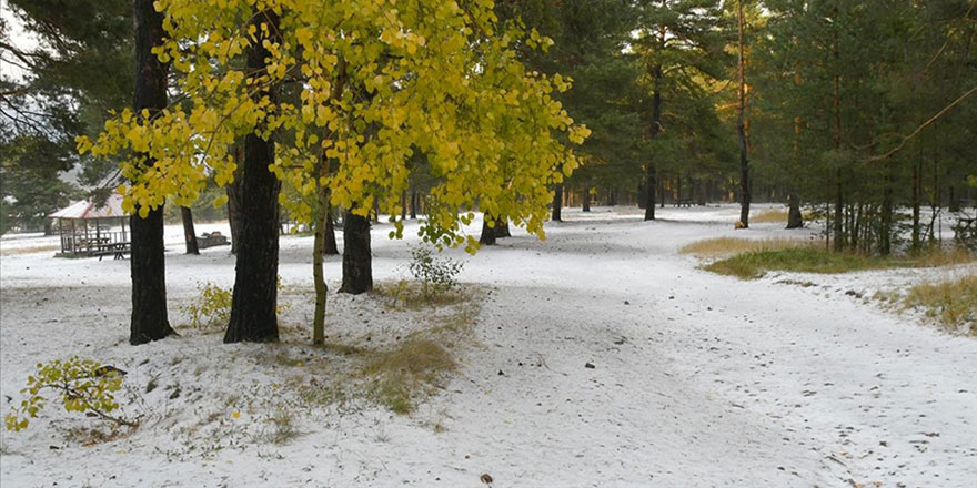 Kars'a yağdırılan dolu ile kışı aratmayan manzaralar oluştu