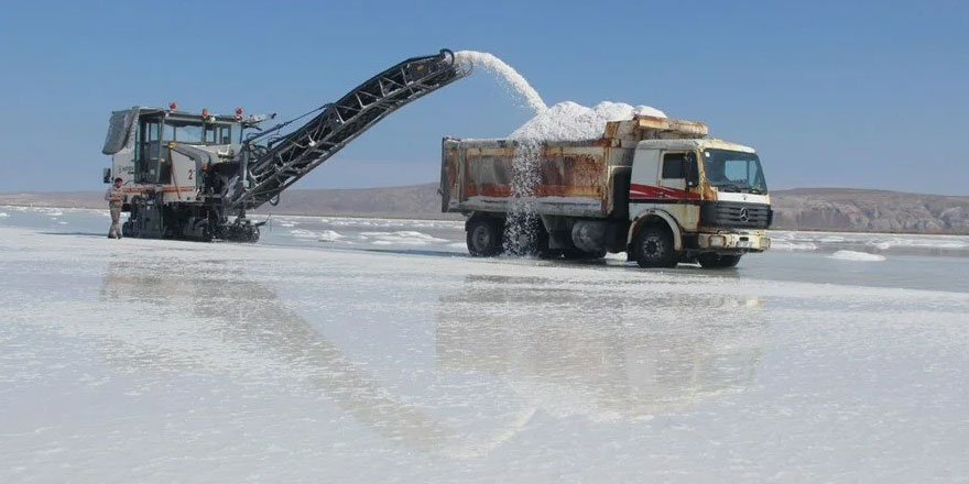 Ekinsiz tarlada hasat: 60 ülkeye ihraç ediliyor