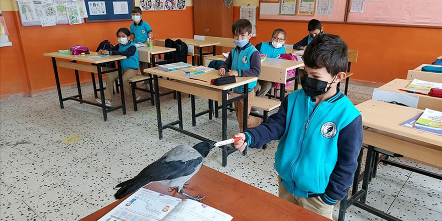 Kargadan vefa dersi: Kendisini iyileştiren çocuğun peşinden ayrılmıyor