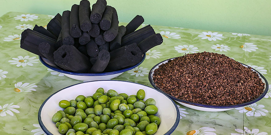 Kainat eczanesinden zeytinin çekirdeği mangal kömürü oldu