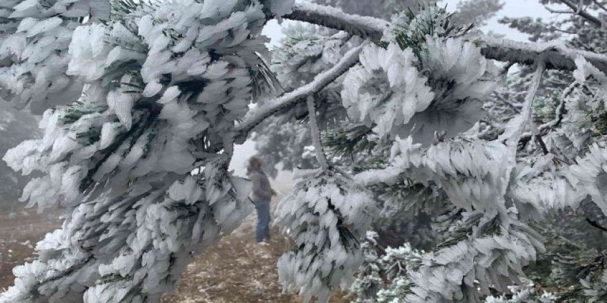 Meteoroloji'den 4 il için çığ ve buzlanma uyarısı
