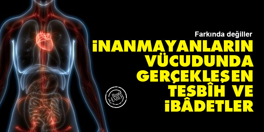 İnanmayanların vücudunda gerçekleşen tesbîh ve ibâdetler