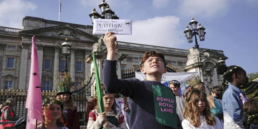 Çocuklardan, İngiliz kraliyet ailesine 'elinizdeki arazileri doğaya kazandırın' çağrısı