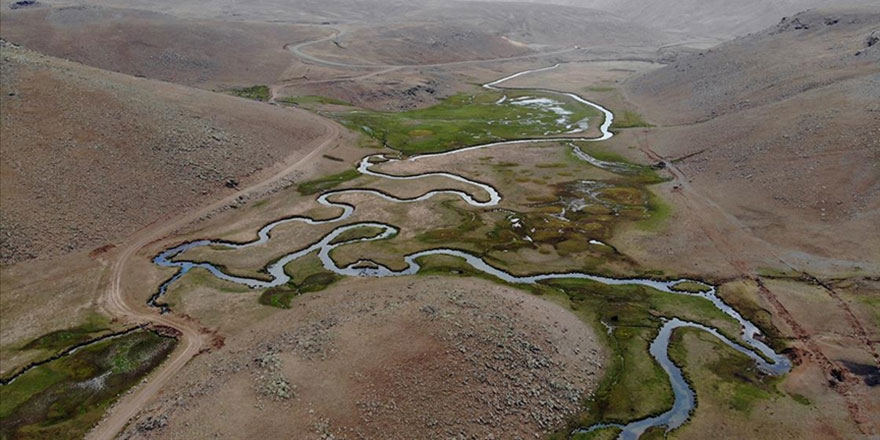 Ağrı'nın volkanik platolarındaki mendereslerde sonbahar güzelliği