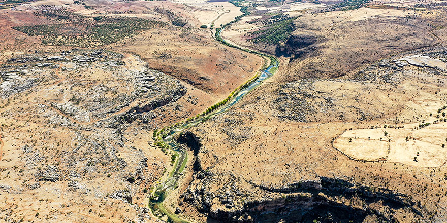 Burayı yeşillendireceğim deyince dalga geçtiler: İşte sonuç