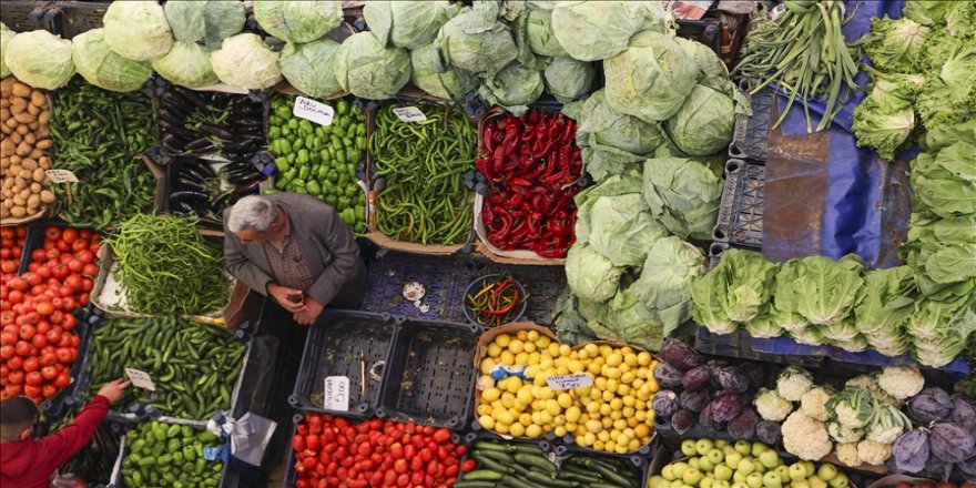 Vücuttaki toksinleri atan besinler