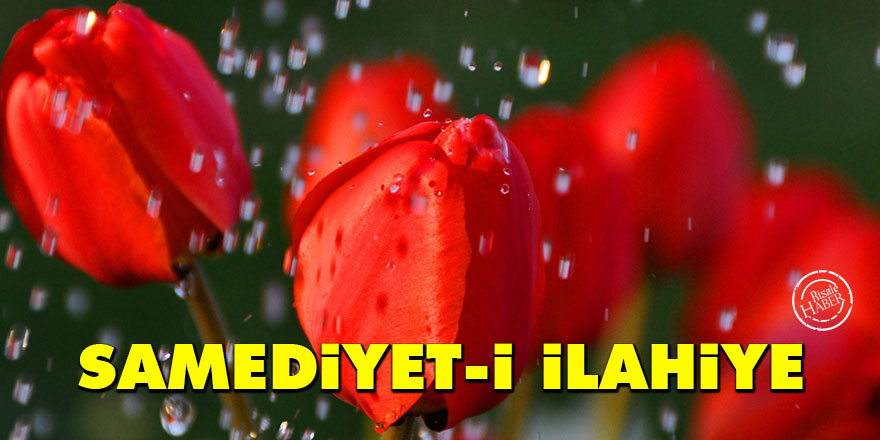 Samediyet-i ilahiye