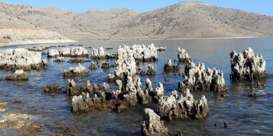 Van Gölü'nde kuraklık nedeniyle sular çekildi