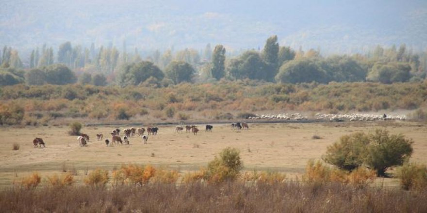 Tamamen kuruyan Akşehir Gölü'nde taban 2 metre kazıldığında su bulundu.