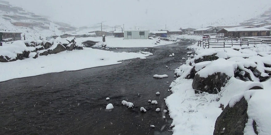 Karadeniz yaylaları beyaz rahmetle kaplandı: Yer yer 20 santimetreyi geçti