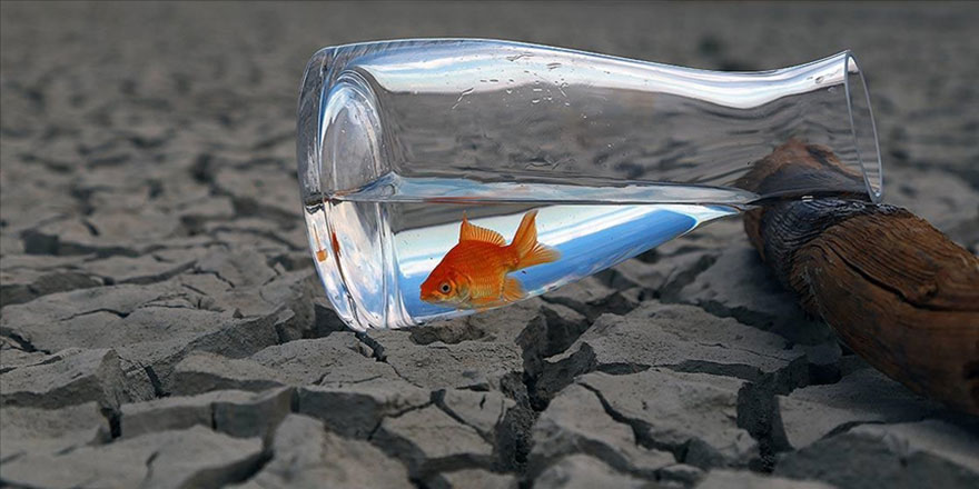 Uluslararası kuruluşlar, dünyaya 'acilen su ve iklim tedbirleri alma çağrısı' yaptı