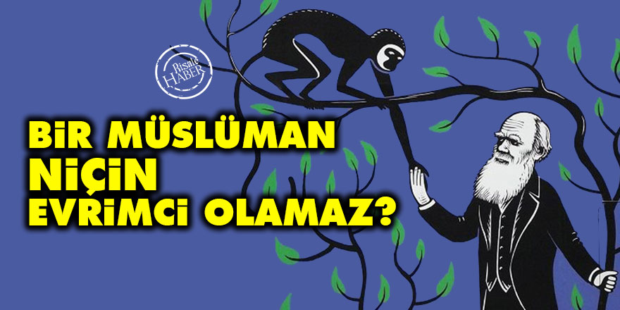 Bir Müslüman niçin evrimci olamaz?