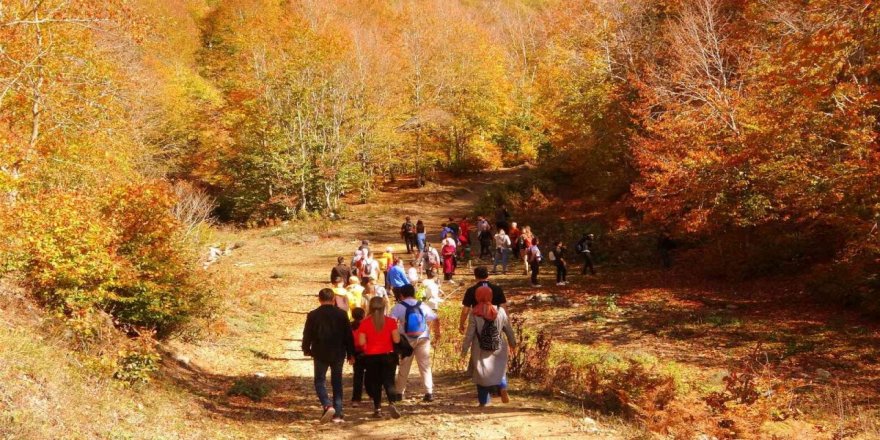 Osmaniye’nin gözde bölgesi Dumanlı Yayla