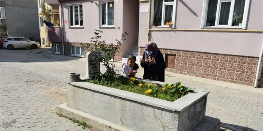 Yol ortasında 'sır mezar'