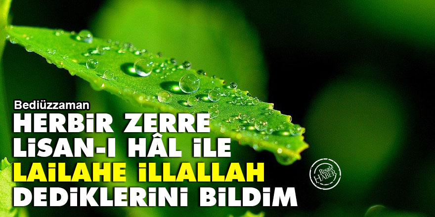 Bediüzzaman: Herbir zerre lisan-ı hâl ile lailahe illallah dediklerini bildim