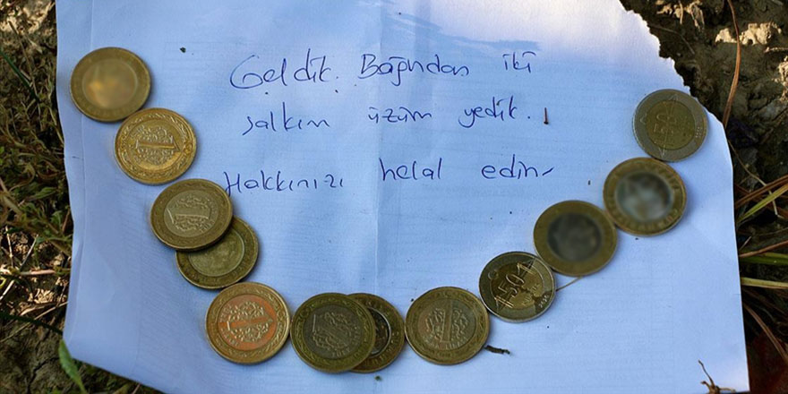 'Bağından iki salkım üzüm yedik, hakkınızı helal edin' parası