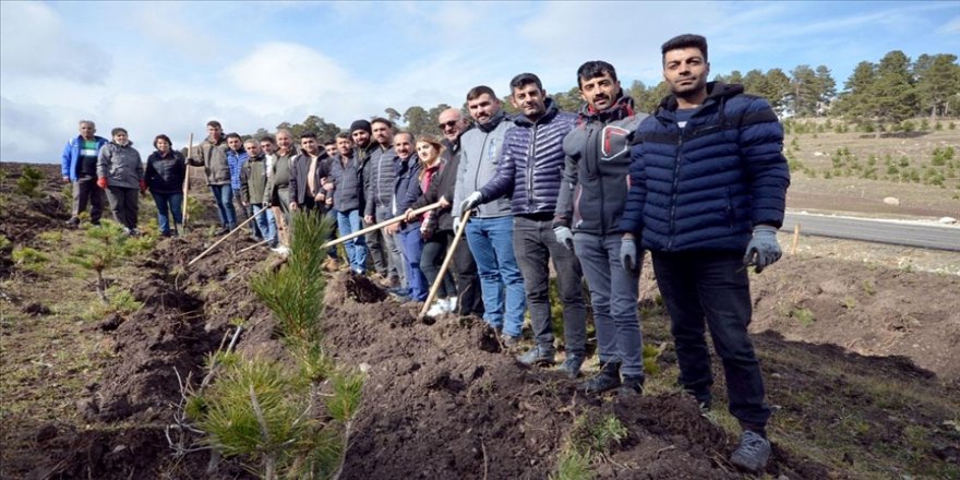 Kars'ta aynı lisenin mezunları 1000 fidanla hatıra ormanı oluşturdu