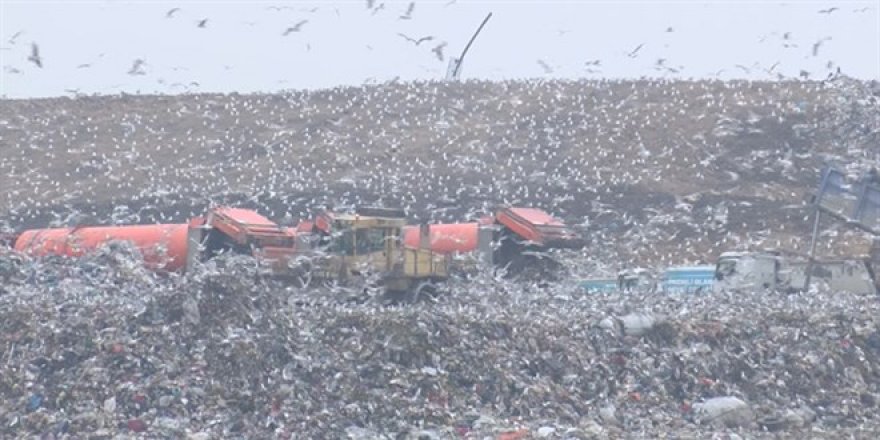 İstanbul'un çöpleri elektrik oluyor