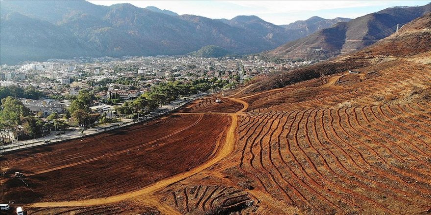 Orman şehitleri anısına 50 bin fidan toprakla buluşturulacak