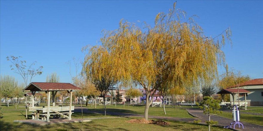 Afyonkarahisar'da parklar sonbahar renklerine büründü