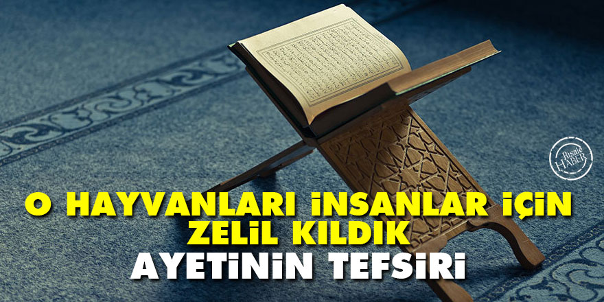 'O hayvanları insanlar için zelil kıldık' ayetinin tefsiri