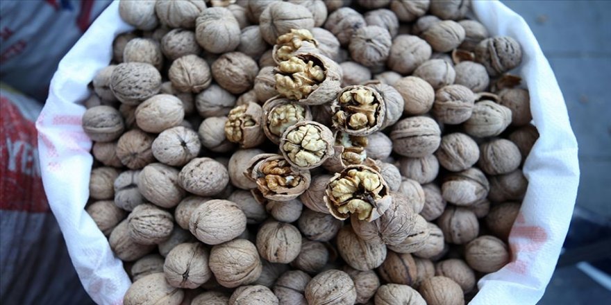 Taneyle satılan Adilcevaz cevizi yurdun dört bir yanına gönderiliyor