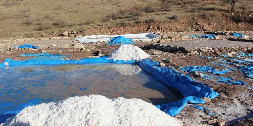 Ekmeklerini 'tuz'dan çıkarıyorlar