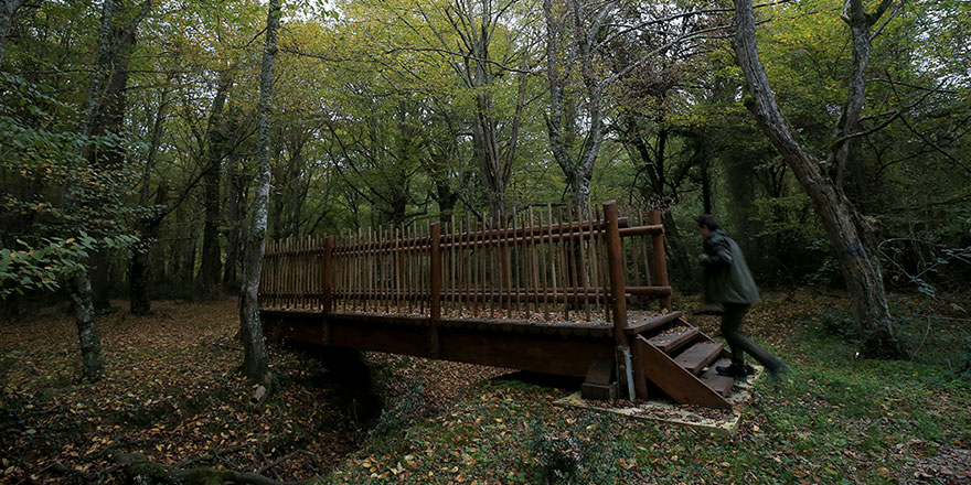 İğneada Longoz Ormanı'ndaki dereler ahşap köprüler ile aşılacak