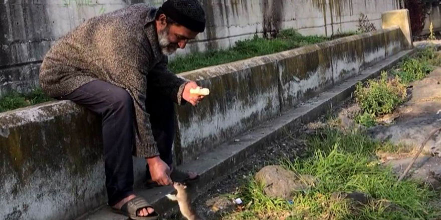 Samsun'da kimsesiz adam ile farenin dostluğu: Allah her şeyi bizim için yaratmış