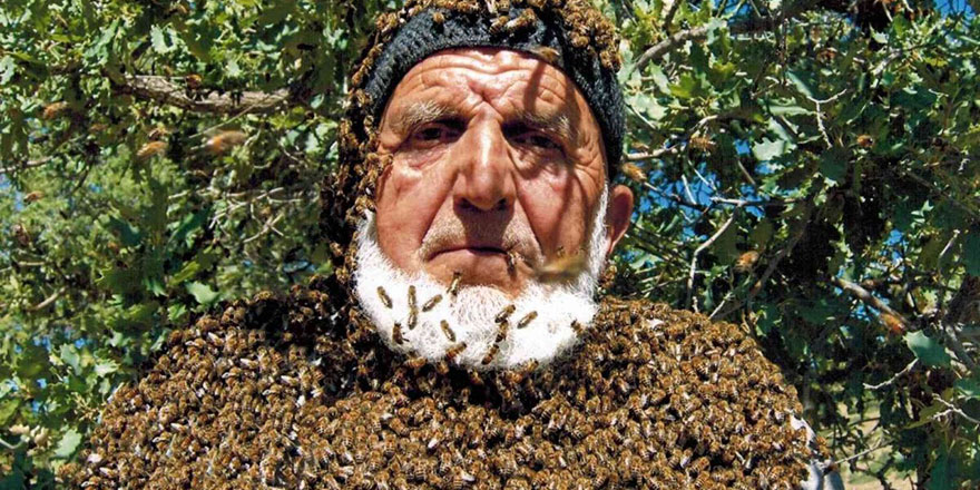 Kayserili Sami dedenin üstüne 100 bin arı konuyor