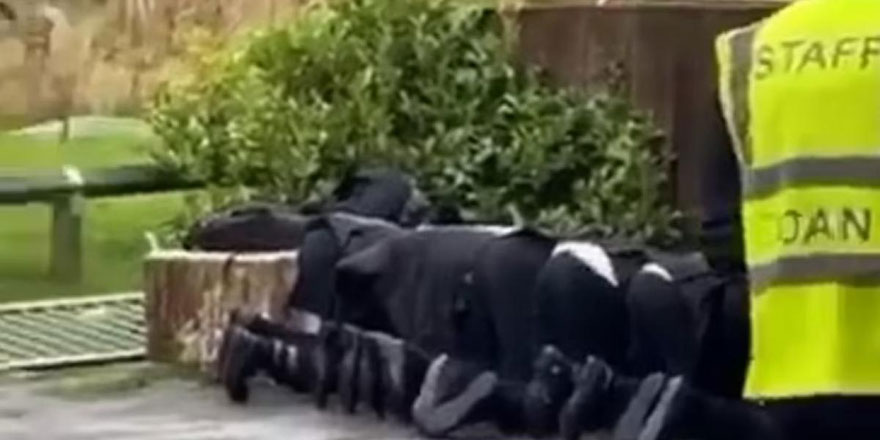 İngiltere'de öğrenciler cuma namazını 'öğretmen zoruyla' soğukta kıldı
