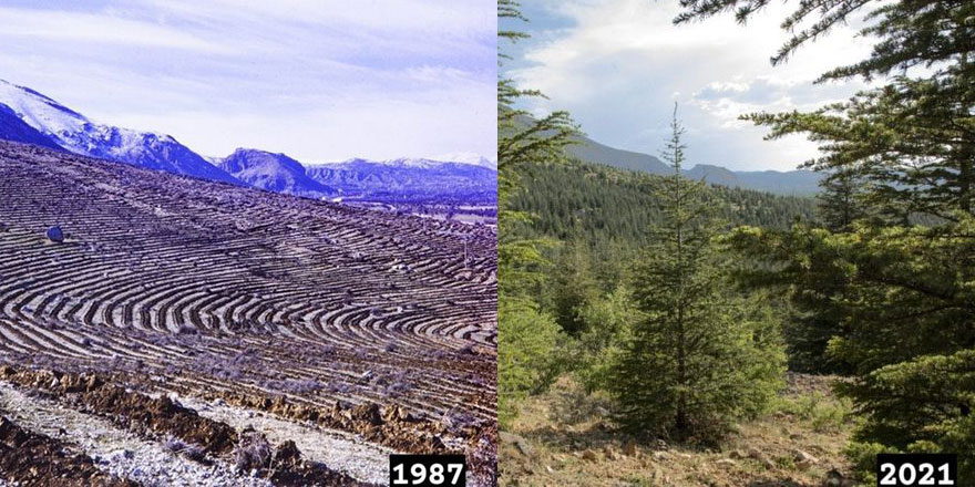 34 yıllık emek! Allah razı olsun orman adam!