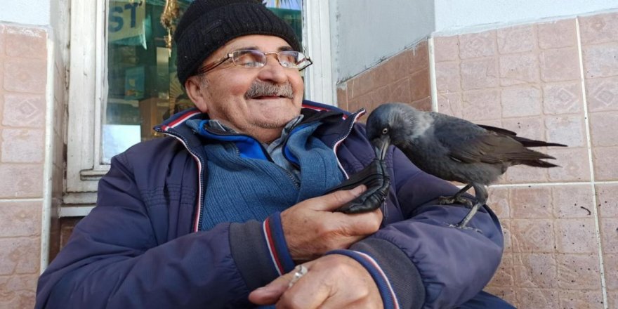 Nizamettin amca ile karganın dostluğu tebessüm ettiriyor