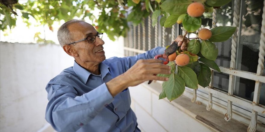 Filistinli İskafi, evinin ağırlığınca altın da verseler Şeyh Cerrah Mahallesi'ni bırakmayacak