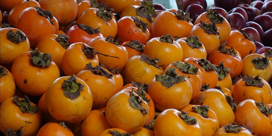 Kainat eczanesinden Trabzon hurması enfeksiyon riskini önlüyor