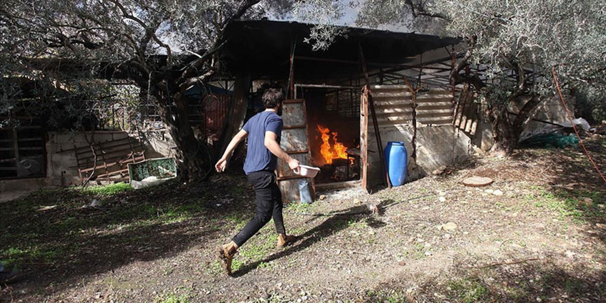 Filistinli STK'lardan Yahudi yerleşimcilerin saldırılarına karşı uluslararası koruma talebi
