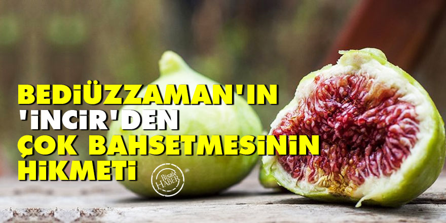 Bediüzzaman'ın 'incir'den çok bahsetmesinin hikmeti