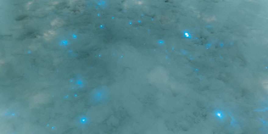 Parıldayan mavi karın sırrı çözüldü