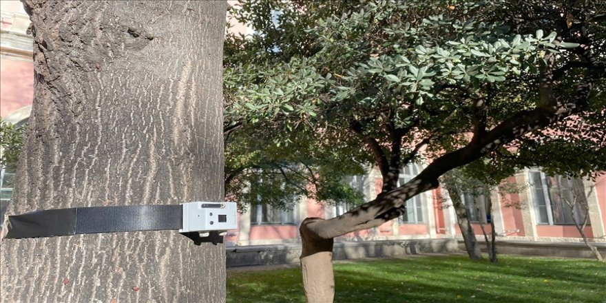 İTÜ'nün "Kozalak"ı, orman yangınlarını erkenden haber verecek
