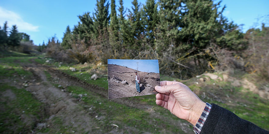 Çorak araziyi 20 yılda ormana çeviren emektar memur